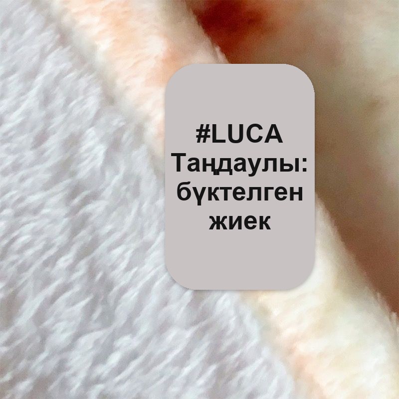 Тамақ пішініндегі жұмсақ плед-ойыншық, плюш