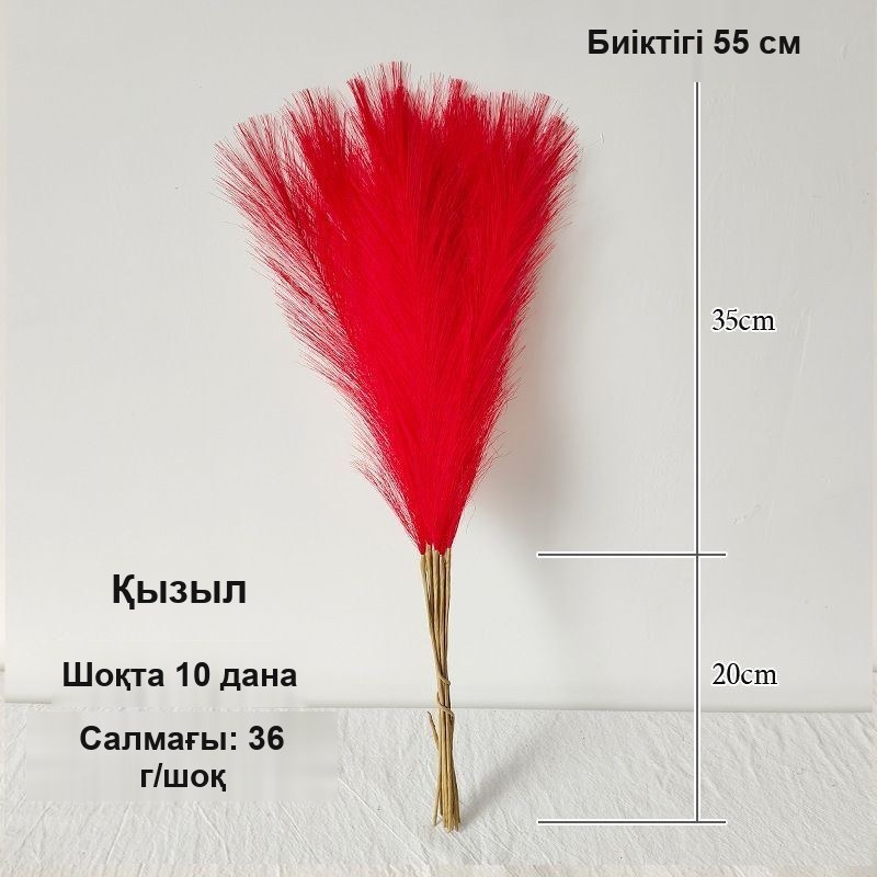Сәндік мамықтар, 55 см, бір буда 10 дана — фото 6