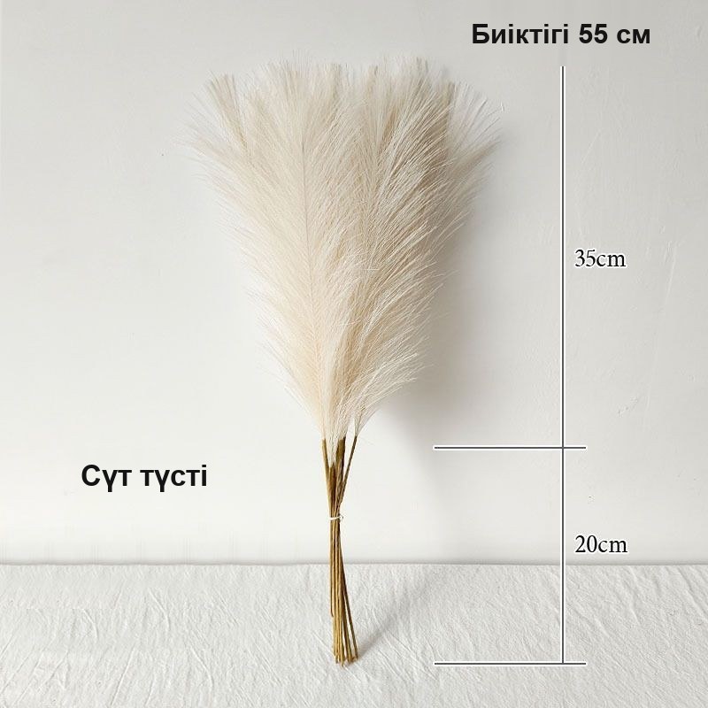 Сәндік мамықтар, 55 см, бір буда 10 дана — фото 9