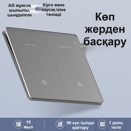Екі пернелі сұр ажыратқыш, шыны панель